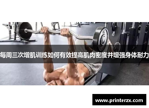 每周三次增肌训练如何有效提高肌肉密度并增强身体耐力