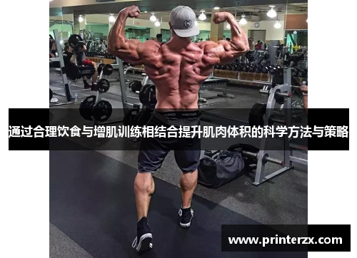 通过合理饮食与增肌训练相结合提升肌肉体积的科学方法与策略