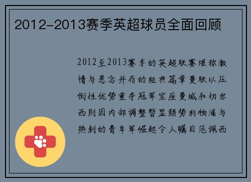 2012-2013赛季英超球员全面回顾