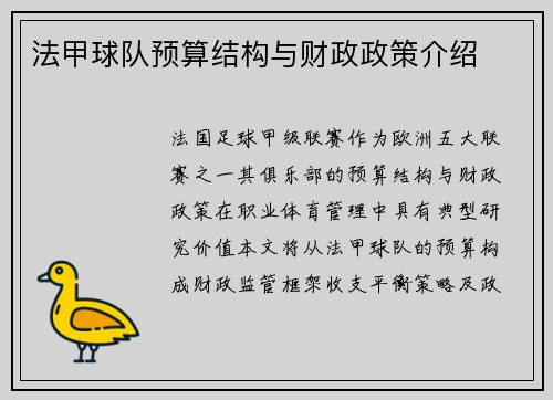 法甲球队预算结构与财政政策介绍